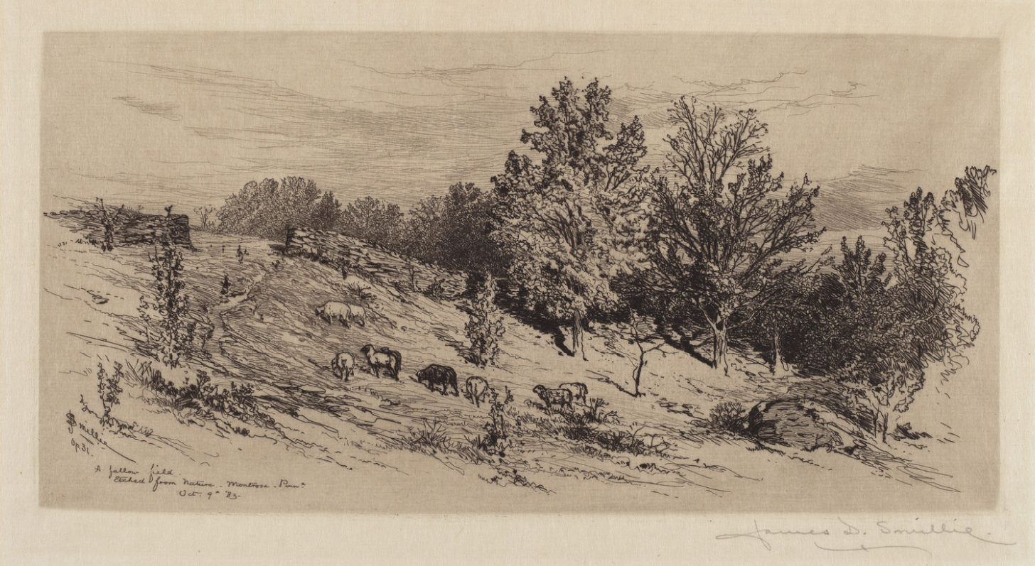 A Fallow Field, an etching of a sloping field with sheep grazing below a line of trees